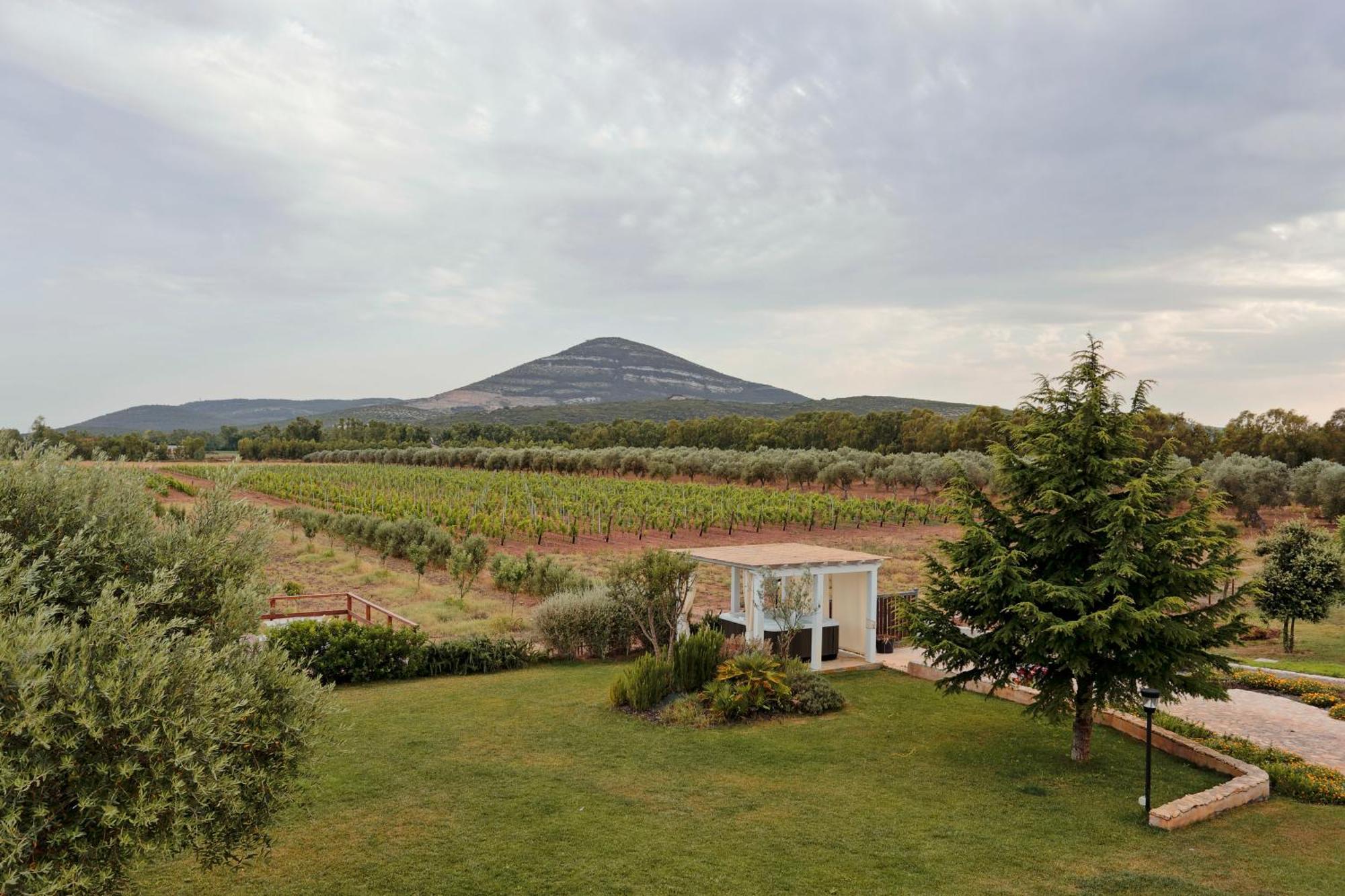 Agriturismo Casale Degli Ulivi Alghero Santa Maria la Palma Exterior photo